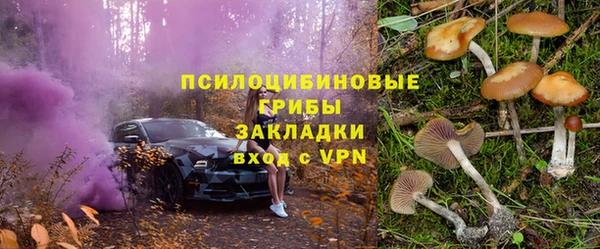 мдпв Горно-Алтайск