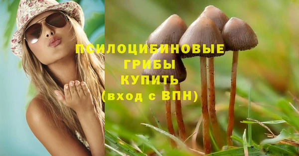 мдпв Горно-Алтайск