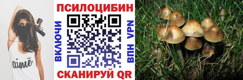 Купить закладки  Челябинск  Псилоцибиновые грибы мицелий 