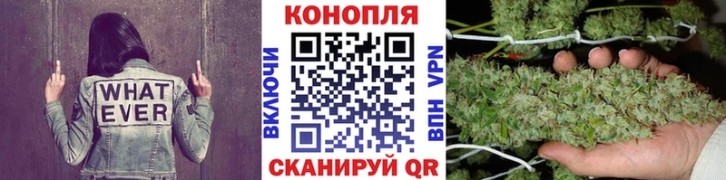 Купить  Челябинск  МАРИХУАНА SATIVA & INDICA 